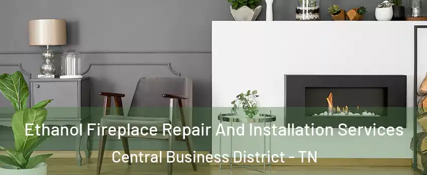 Ethanol Fireplace Repair And Installation Services Central Business District - TN