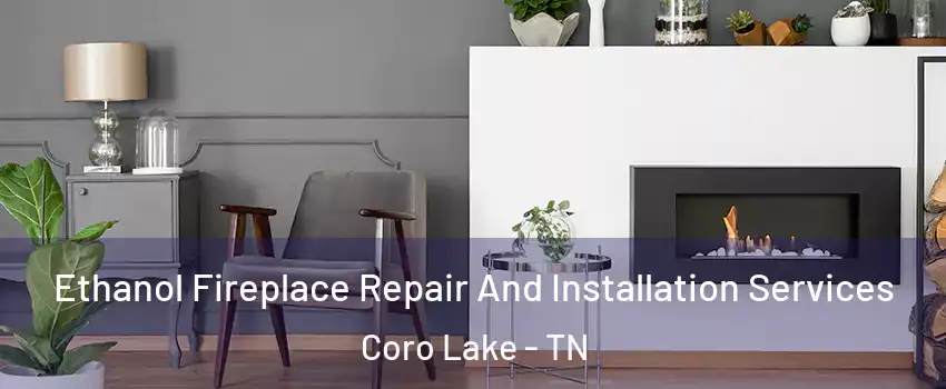 Ethanol Fireplace Repair And Installation Services Coro Lake - TN