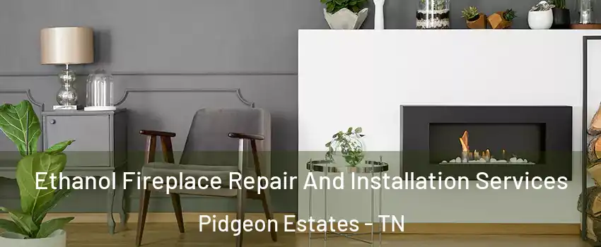 Ethanol Fireplace Repair And Installation Services Pidgeon Estates - TN