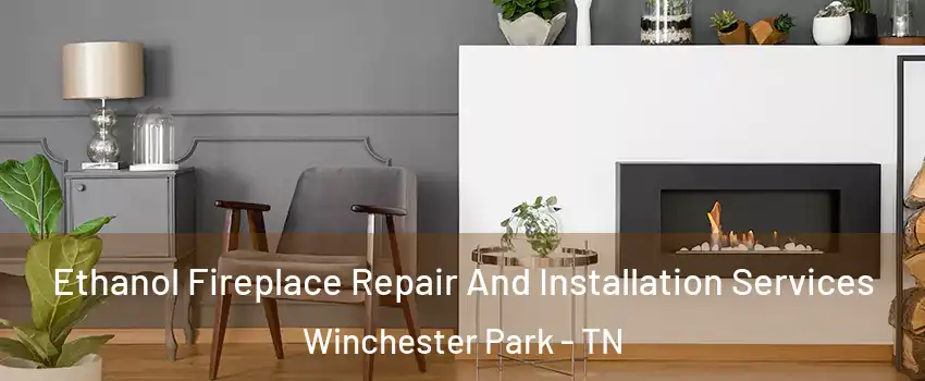 Ethanol Fireplace Repair And Installation Services Winchester Park - TN