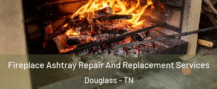 Fireplace Ashtray Repair And Replacement Services Douglass - TN