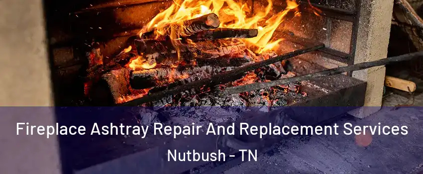 Fireplace Ashtray Repair And Replacement Services Nutbush - TN