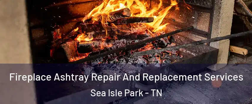 Fireplace Ashtray Repair And Replacement Services Sea Isle Park - TN