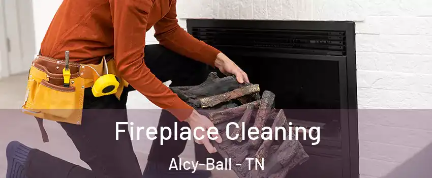 Fireplace Cleaning Alcy-Ball - TN