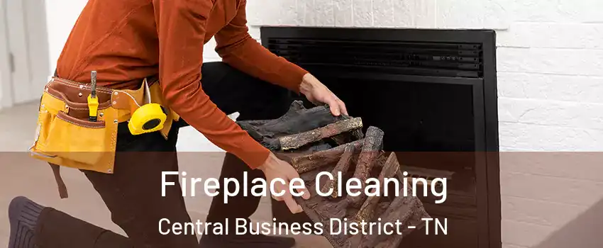 Fireplace Cleaning Central Business District - TN