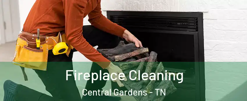 Fireplace Cleaning Central Gardens - TN