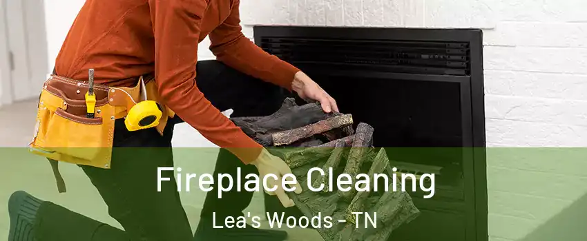 Fireplace Cleaning Lea's Woods - TN