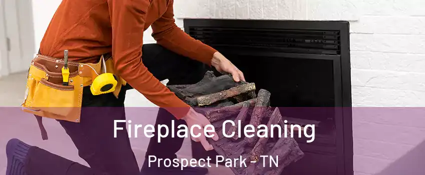 Fireplace Cleaning Prospect Park - TN