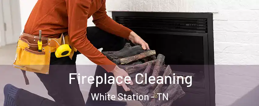 Fireplace Cleaning White Station - TN