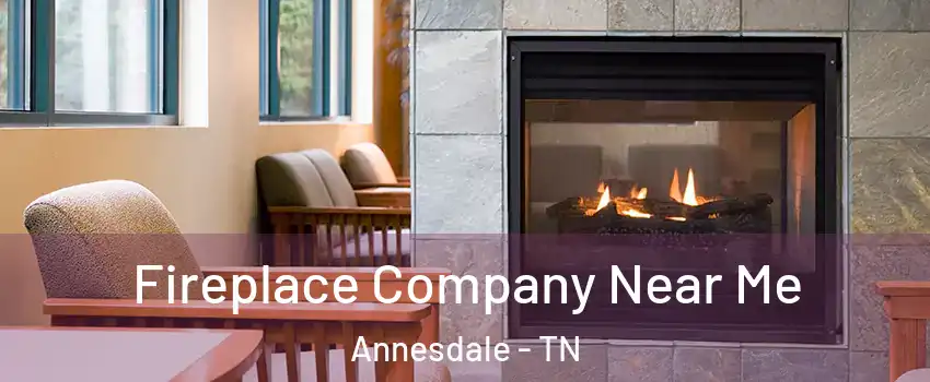 Fireplace Company Near Me Annesdale - TN