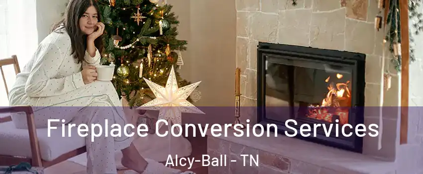 Fireplace Conversion Services Alcy-Ball - TN