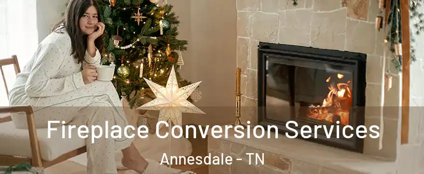 Fireplace Conversion Services Annesdale - TN