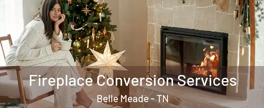 Fireplace Conversion Services Belle Meade - TN