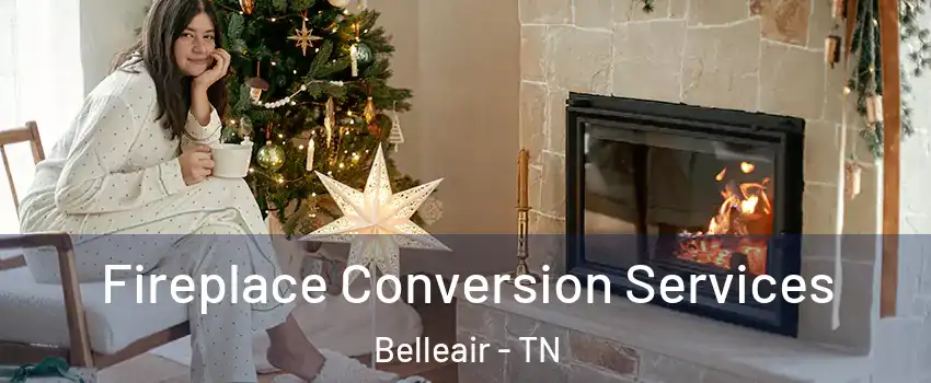 Fireplace Conversion Services Belleair - TN