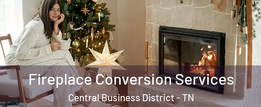 Fireplace Conversion Services Central Business District - TN