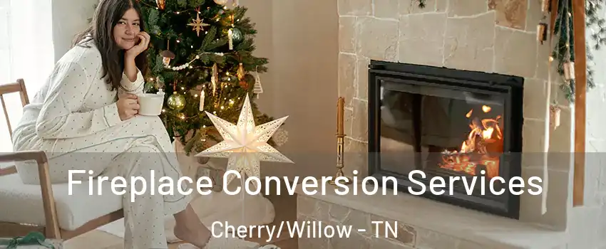 Fireplace Conversion Services Cherry/Willow - TN