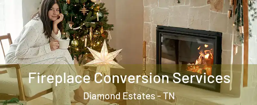 Fireplace Conversion Services Diamond Estates - TN