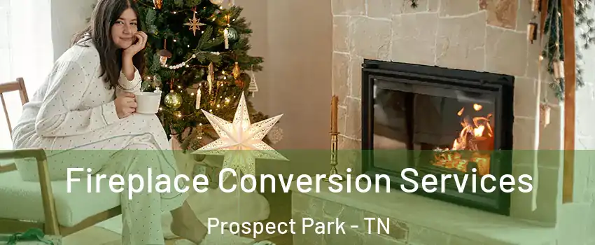 Fireplace Conversion Services Prospect Park - TN