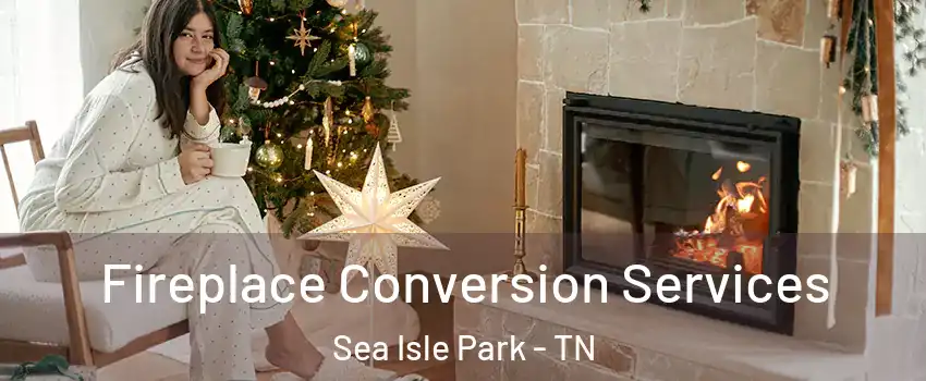 Fireplace Conversion Services Sea Isle Park - TN