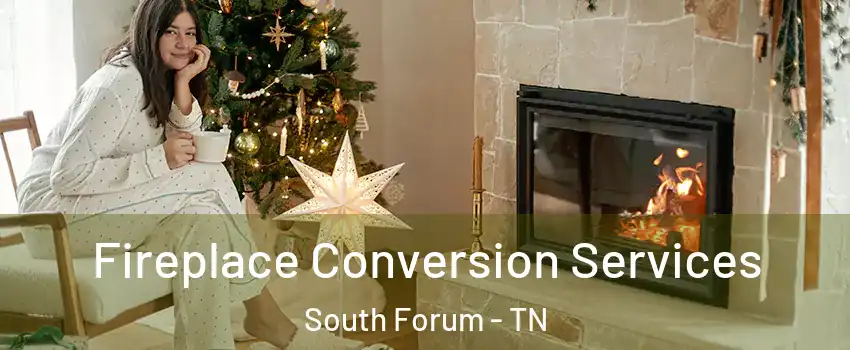 Fireplace Conversion Services South Forum - TN