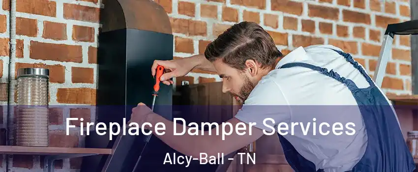 Fireplace Damper Services Alcy-Ball - TN