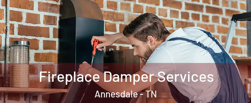 Fireplace Damper Services Annesdale - TN