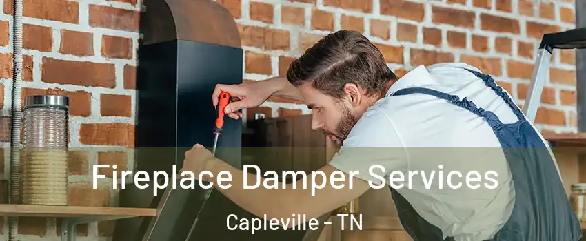 Fireplace Damper Services Capleville - TN