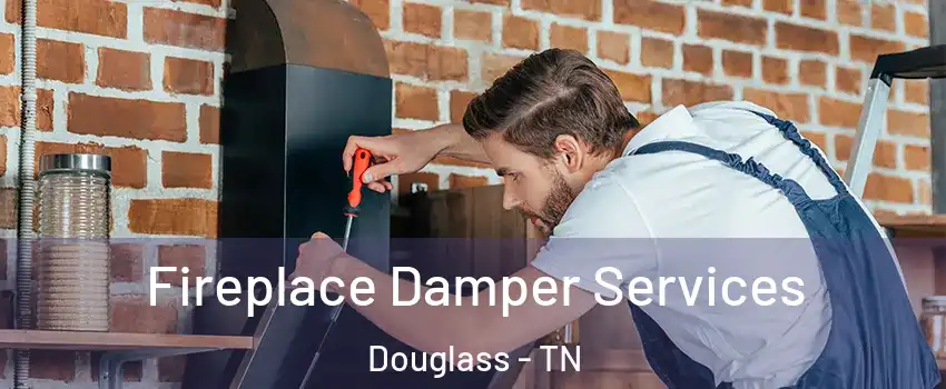 Fireplace Damper Services Douglass - TN