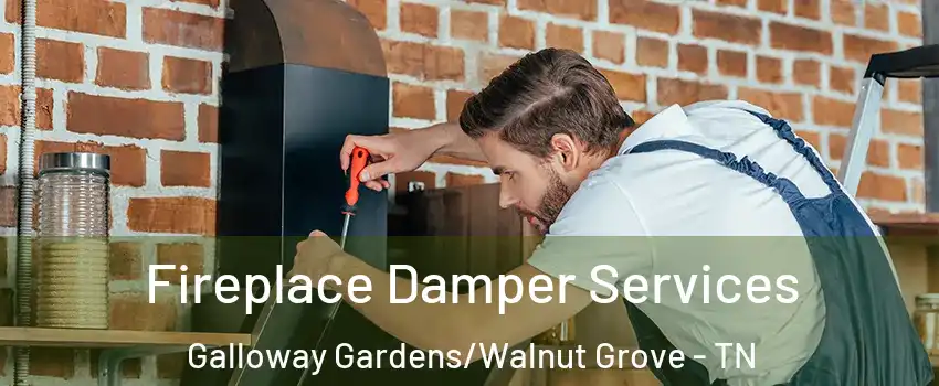 Fireplace Damper Services Galloway Gardens/Walnut Grove - TN