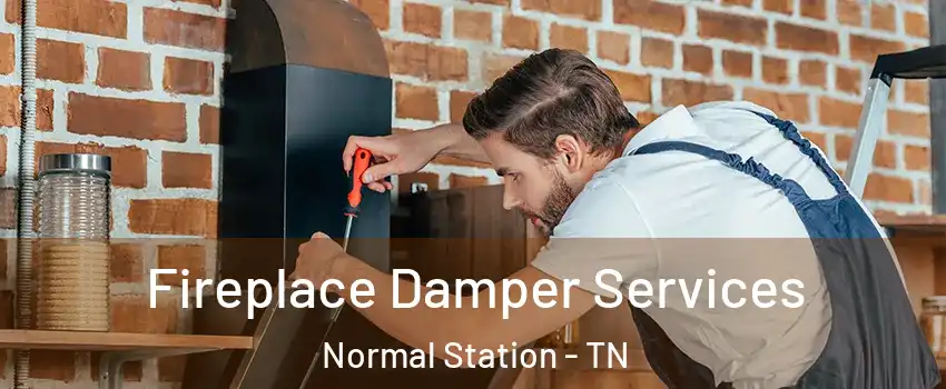 Fireplace Damper Services Normal Station - TN