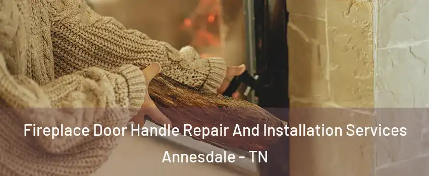 Fireplace Door Handle Repair And Installation Services Annesdale - TN