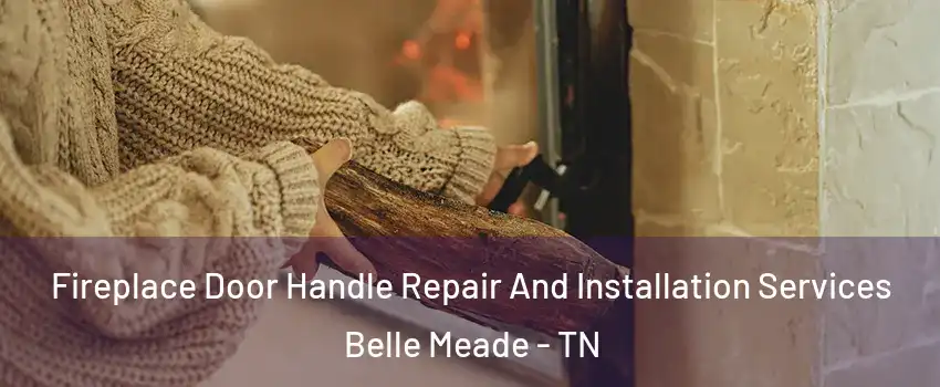 Fireplace Door Handle Repair And Installation Services Belle Meade - TN