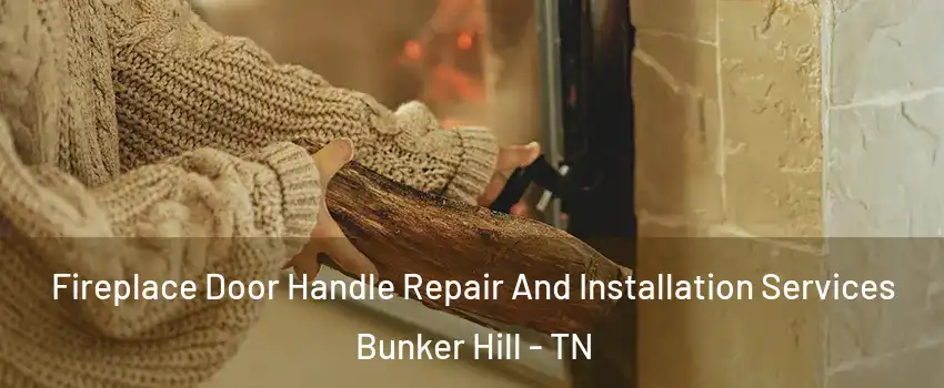 Fireplace Door Handle Repair And Installation Services Bunker Hill - TN