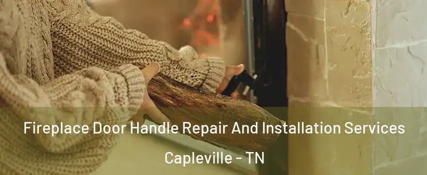 Fireplace Door Handle Repair And Installation Services Capleville - TN