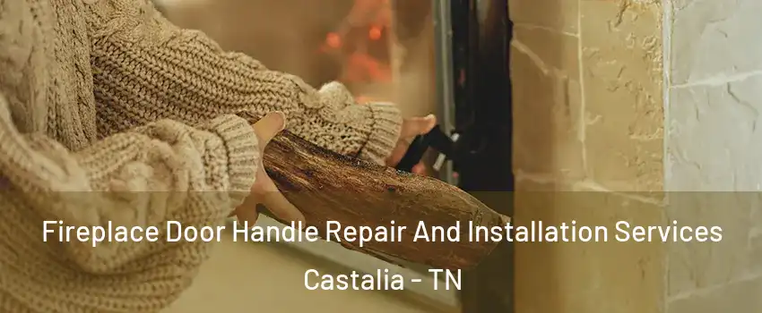 Fireplace Door Handle Repair And Installation Services Castalia - TN