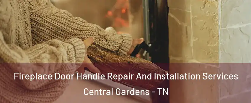 Fireplace Door Handle Repair And Installation Services Central Gardens - TN