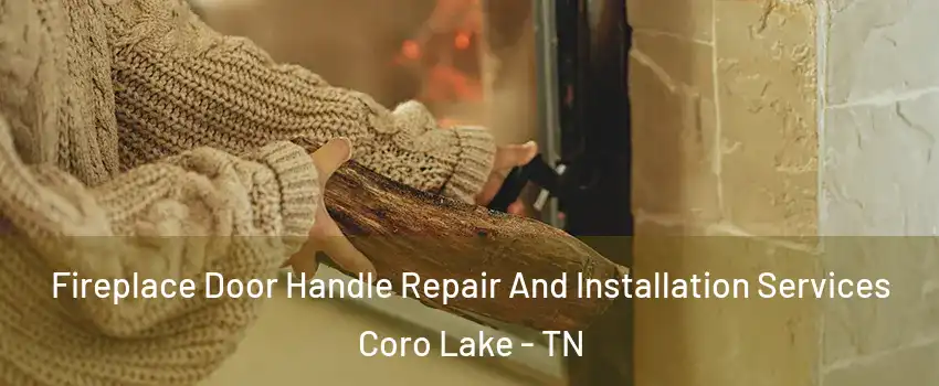 Fireplace Door Handle Repair And Installation Services Coro Lake - TN