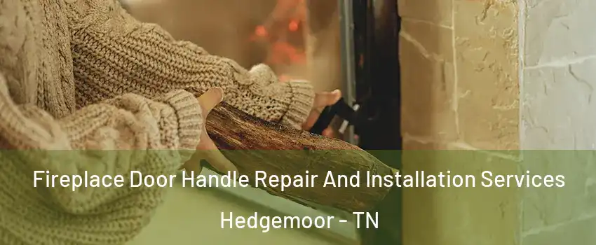 Fireplace Door Handle Repair And Installation Services Hedgemoor - TN