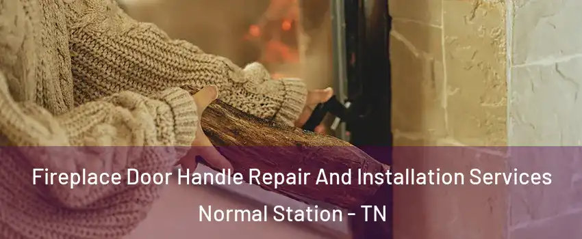 Fireplace Door Handle Repair And Installation Services Normal Station - TN