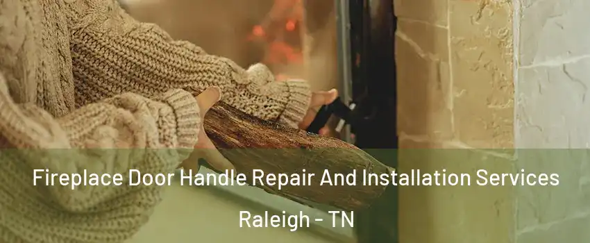 Fireplace Door Handle Repair And Installation Services Raleigh - TN