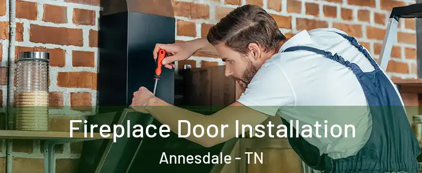 Fireplace Door Installation Annesdale - TN