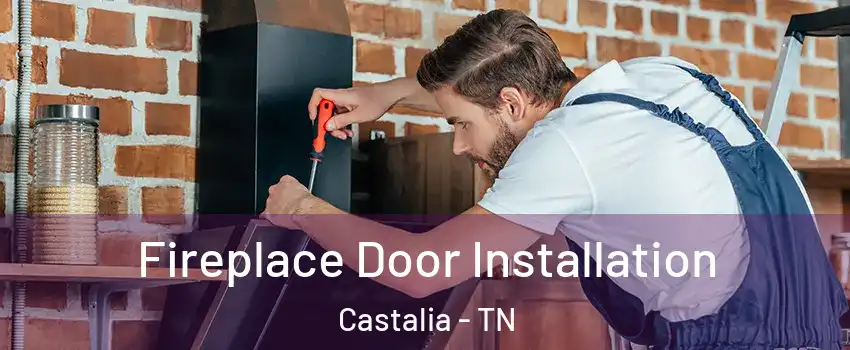 Fireplace Door Installation Castalia - TN