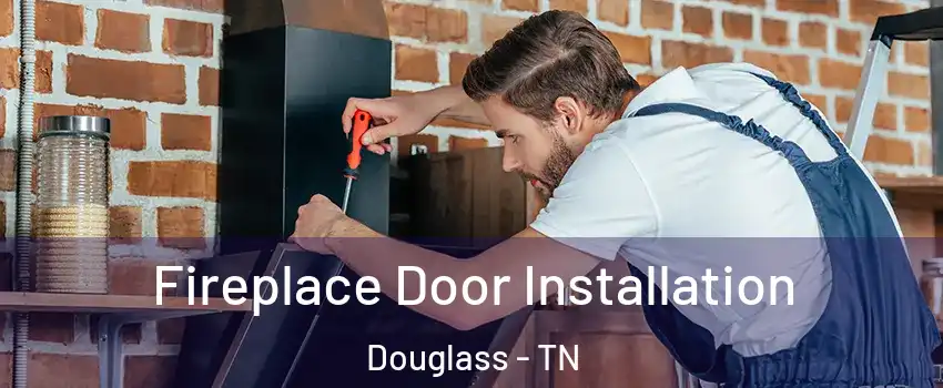 Fireplace Door Installation Douglass - TN