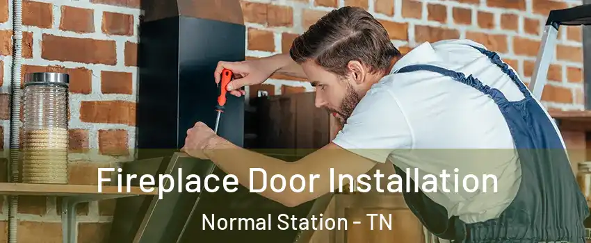 Fireplace Door Installation Normal Station - TN