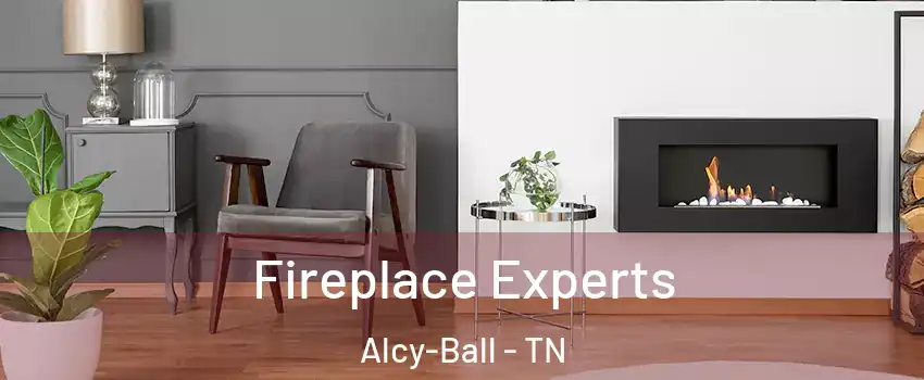 Fireplace Experts Alcy-Ball - TN