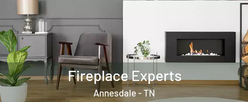 Fireplace Experts Annesdale - TN