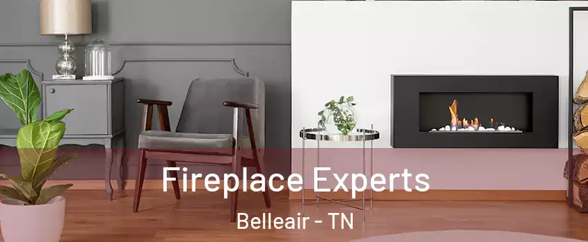 Fireplace Experts Belleair - TN