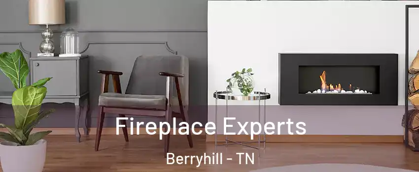 Fireplace Experts Berryhill - TN