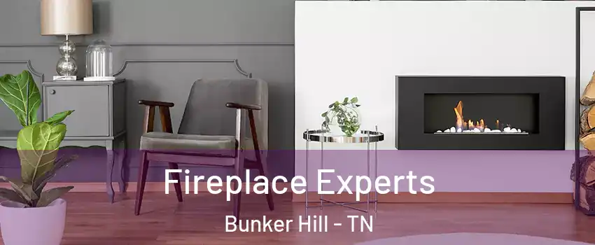 Fireplace Experts Bunker Hill - TN