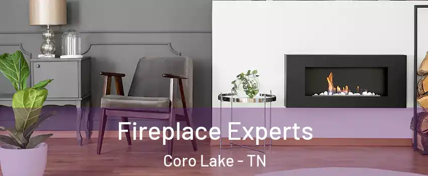 Fireplace Experts Coro Lake - TN